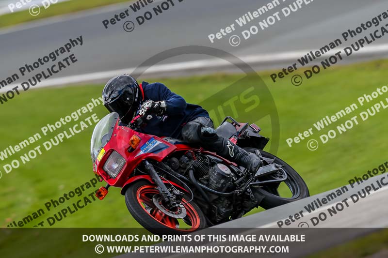 Oulton Park 20th March 2020;PJ Motorsport Photography 2020;anglesey;brands hatch;cadwell park;croft;donington park;enduro digital images;event digital images;eventdigitalimages;mallory;no limits;oulton park;peter wileman photography;racing digital images;silverstone;snetterton;trackday digital images;trackday photos;vmcc banbury run;welsh 2 day enduro
